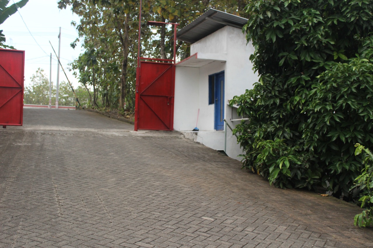 Tampak Dalam 1